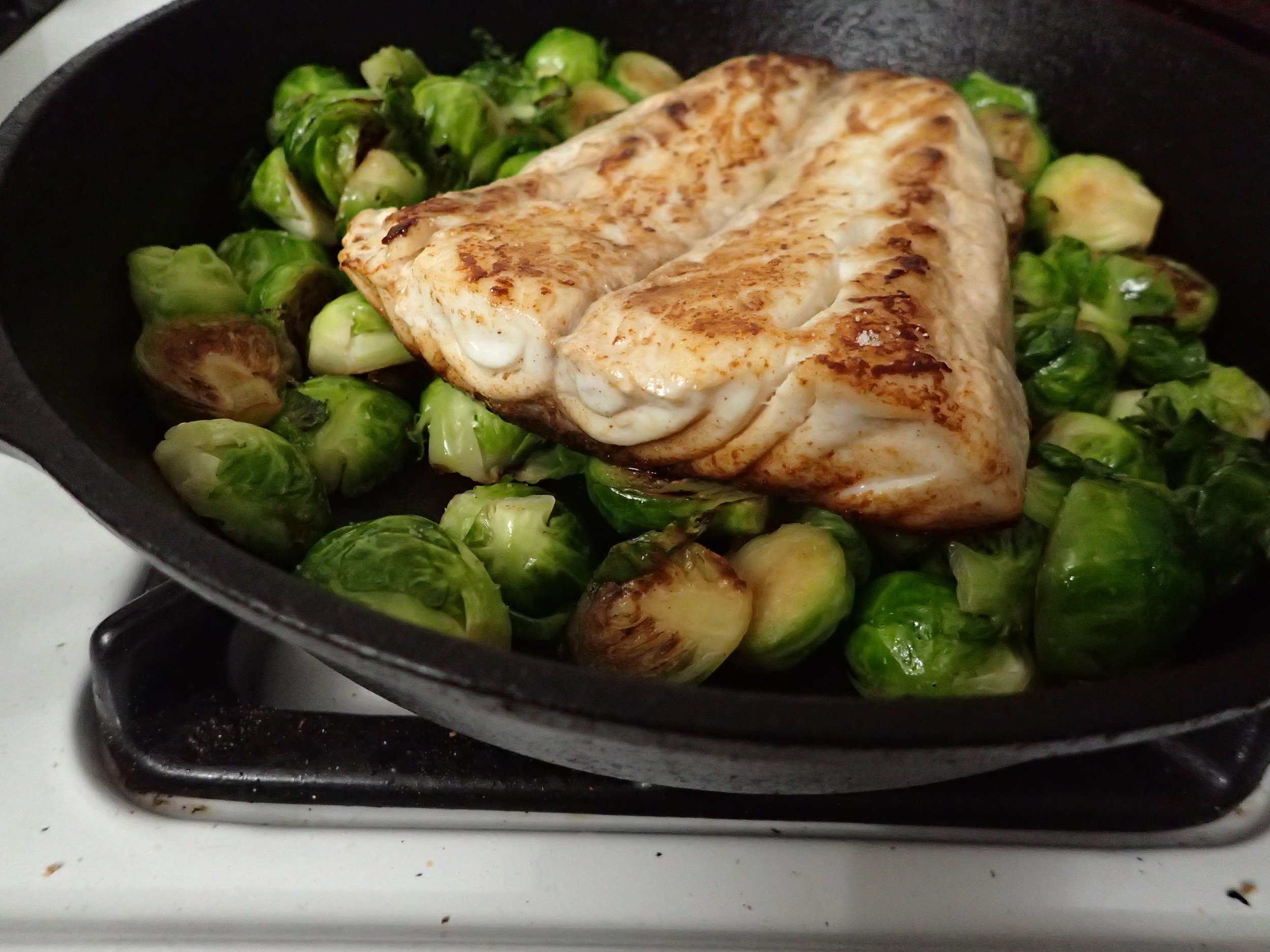 Striped Bass!