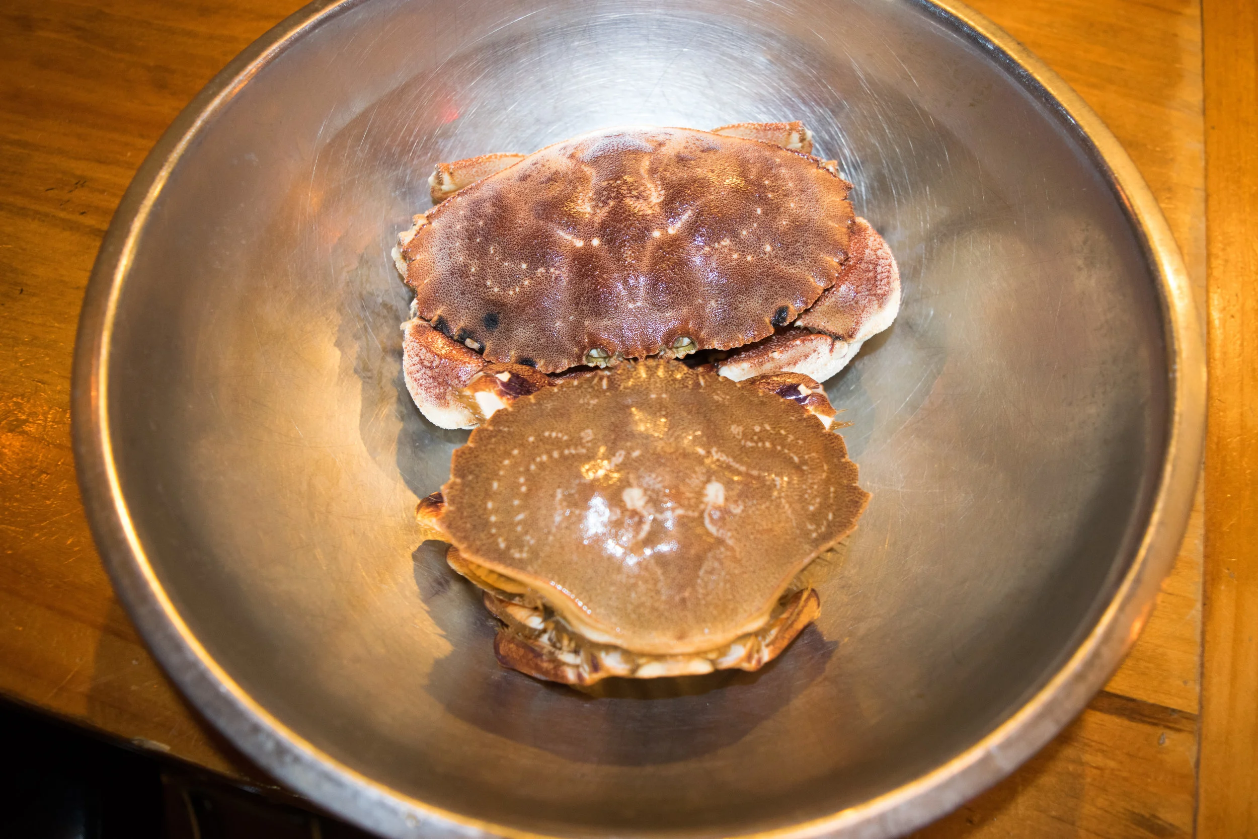 Jonah crab (top) & Sand crab (bottom)