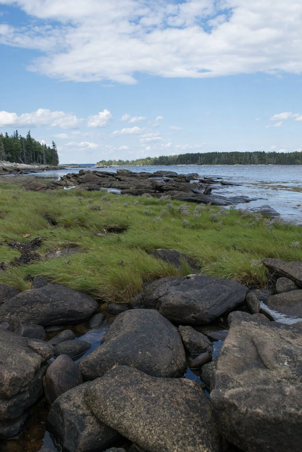 Maine Coast.jpg