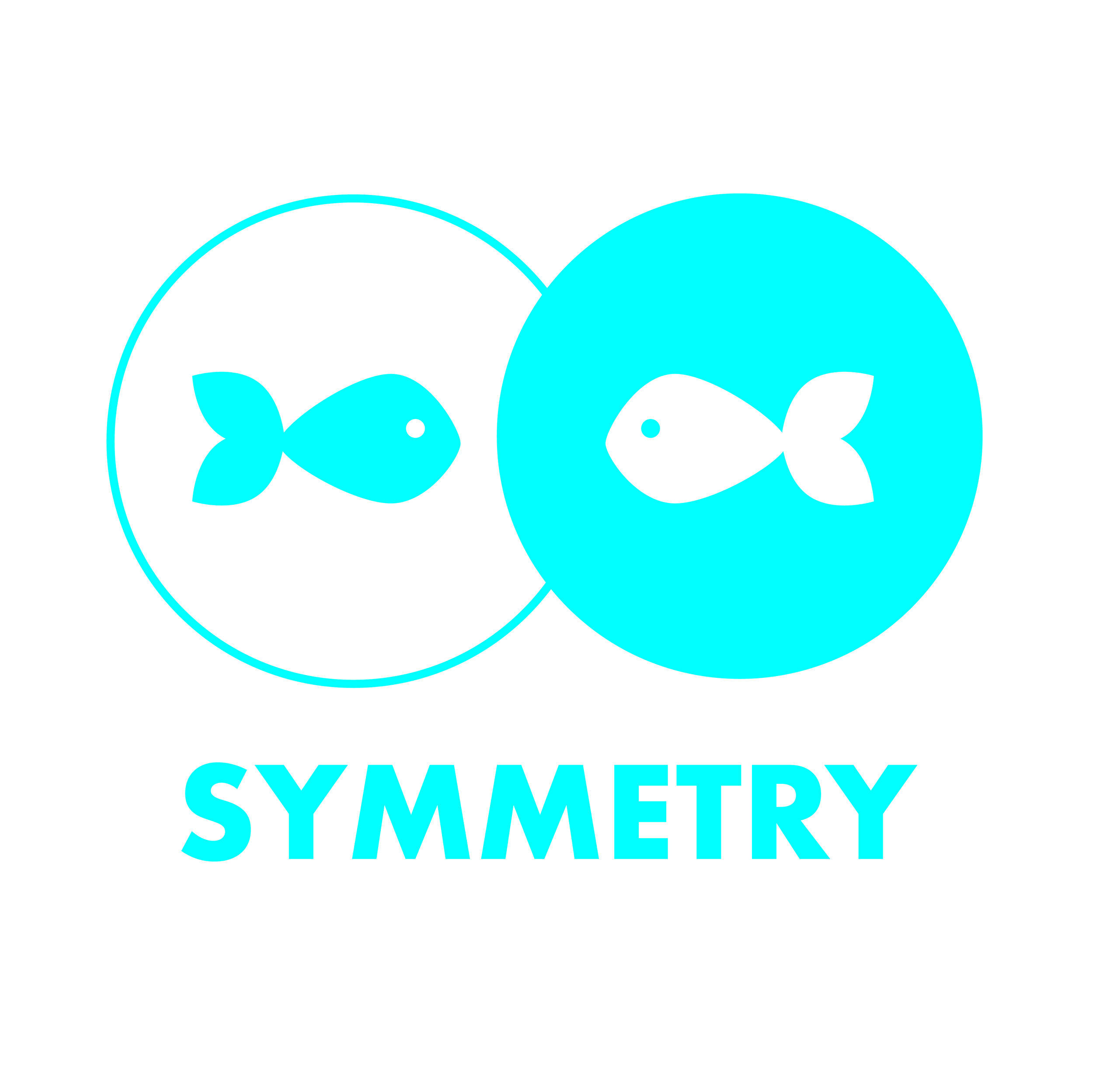 Symmetry.jpg
