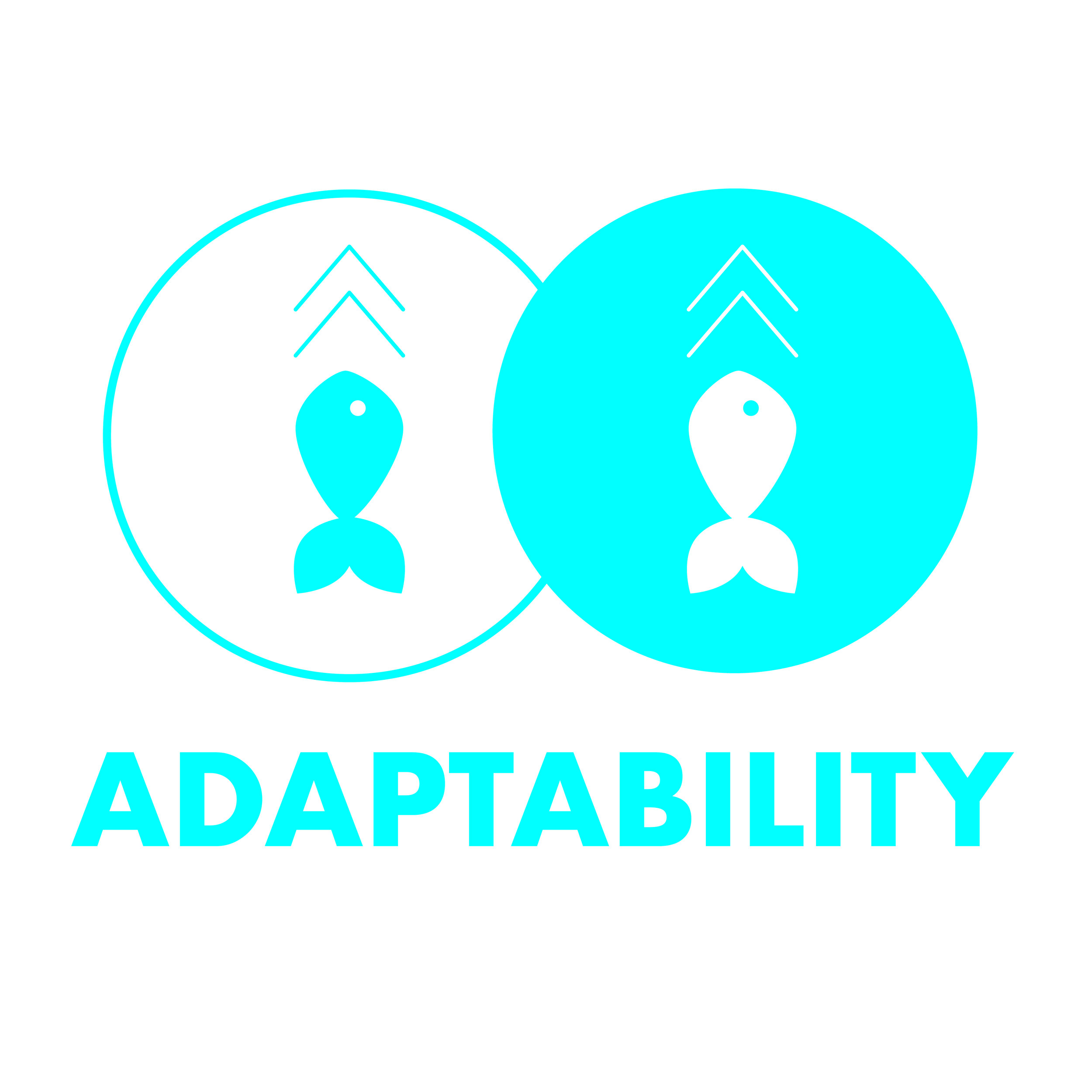 Adaptability.jpg