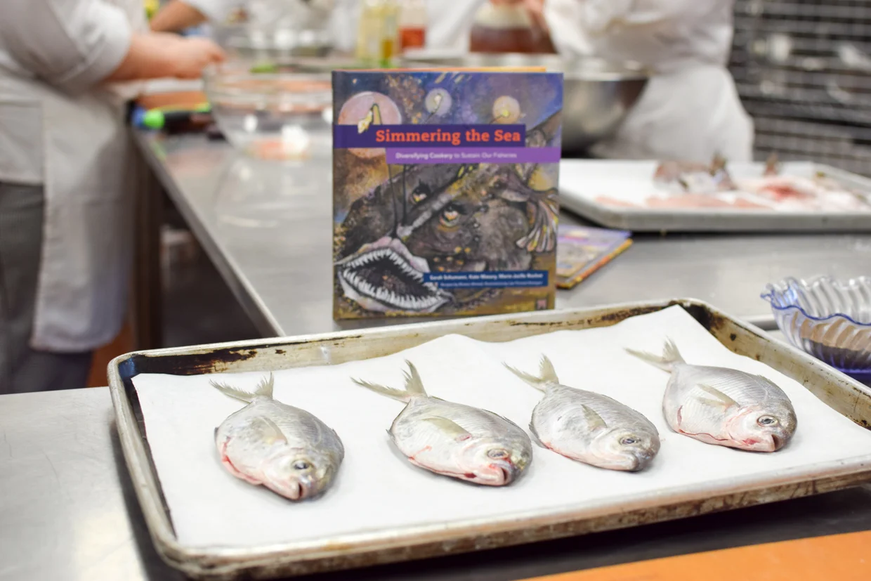 Eat like a fish to support ocean ecosystems! Public discussion at SMAST, June 6th