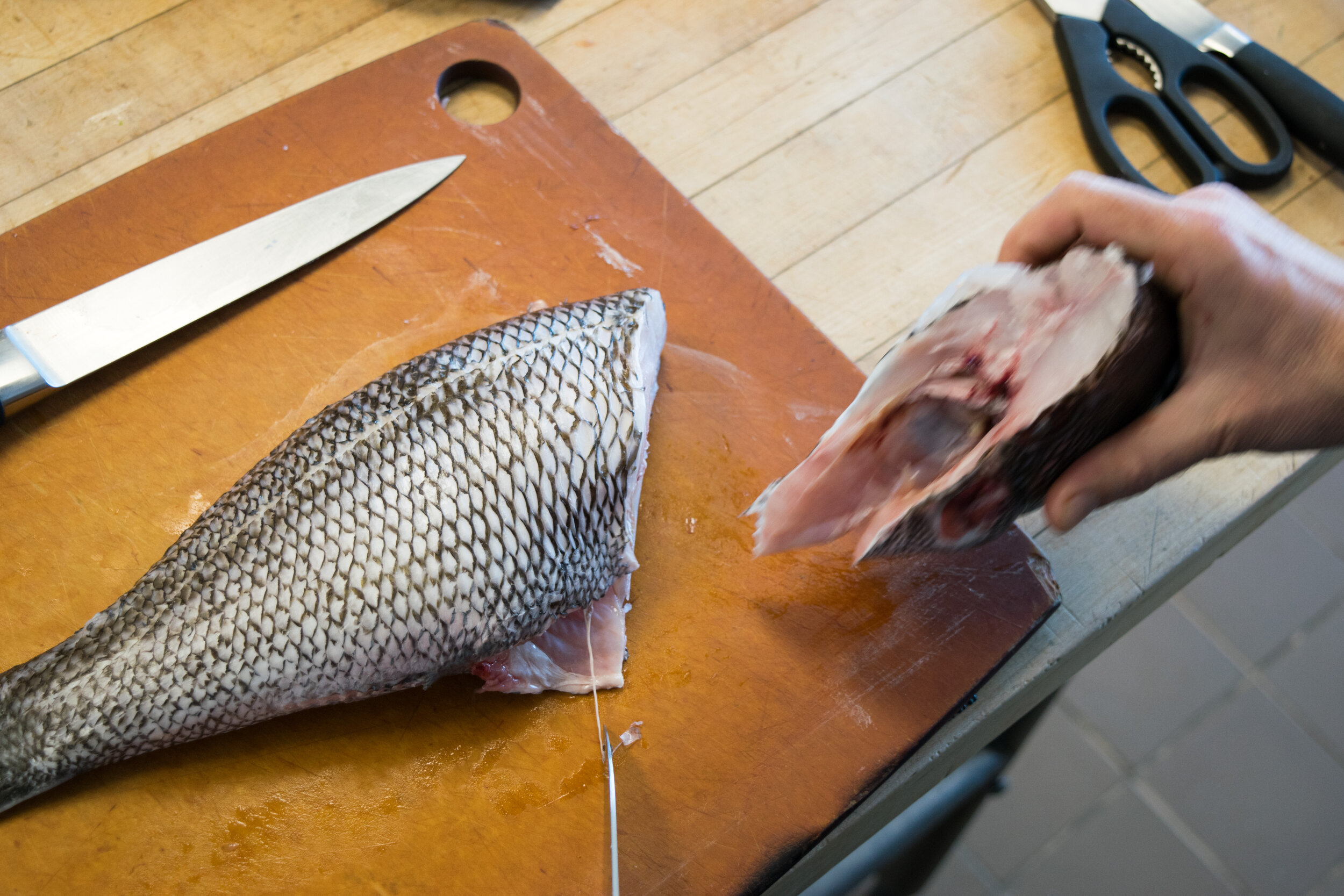 Step 4. Cut through the spine of the fish and separate the head.