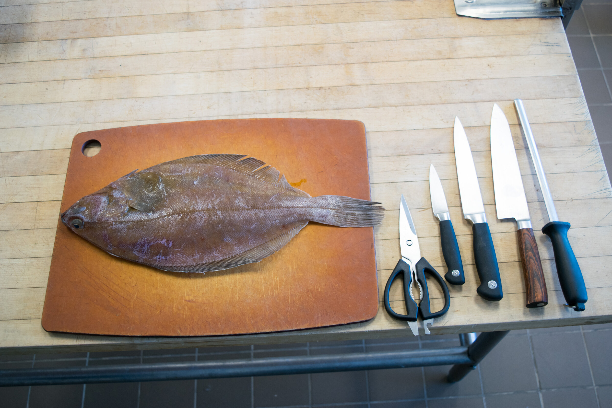 How to Filet a Flat Fish — Eating with the Ecosystem