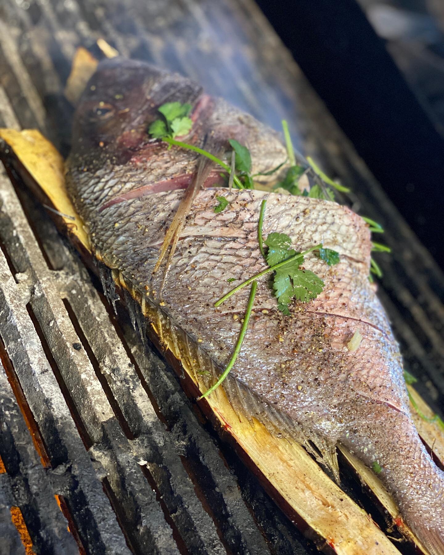 Grilled scup! The perfect summer dish! Join us next Tuesday July 28th for the next class of Cook a Fish, Give a Fish where chef @jltchef76 from @trooppvd will teach participants how to prepare grilled whole scup with summer vegetables! 

Scup is an a