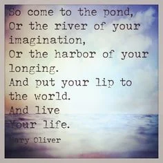mary oliver lip to the world.jpg