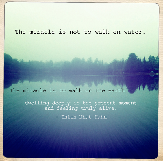 Screen Shot 2014-02-26 at 11.46.41 AM.png