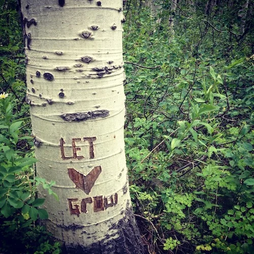 letlovegrow.jpg