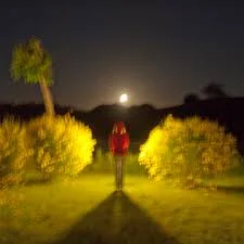 Image: Monica and the Moon, by Frank Dituri