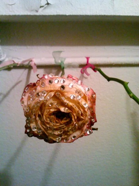 Bling Rose installation detail, Victoria Montgomery, ©2013