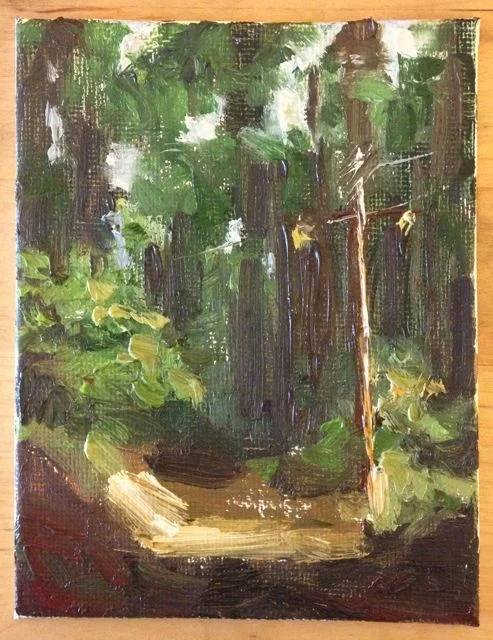 Into the Redwoods - 4x5 oil on panel