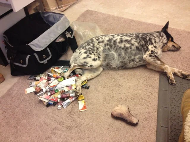 Side kick - Asher getting cozy with the paints