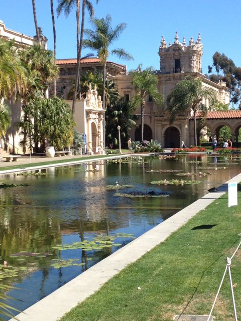 I told you Balboa Park is beautiful!! I may have to go back and plein air paint next time! 