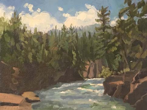 It was pretty warm in late June. We found this awesome little spot to paint one day. The breeze coming off the Flathead River gave us all day air conditioning. It was the perfect painting spot.