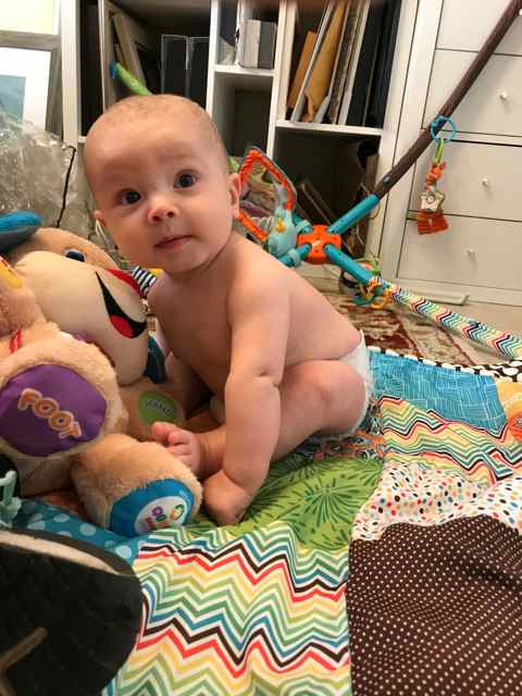It's fun to have him in the studio with me! He's so happy and playful. Changing everyday.