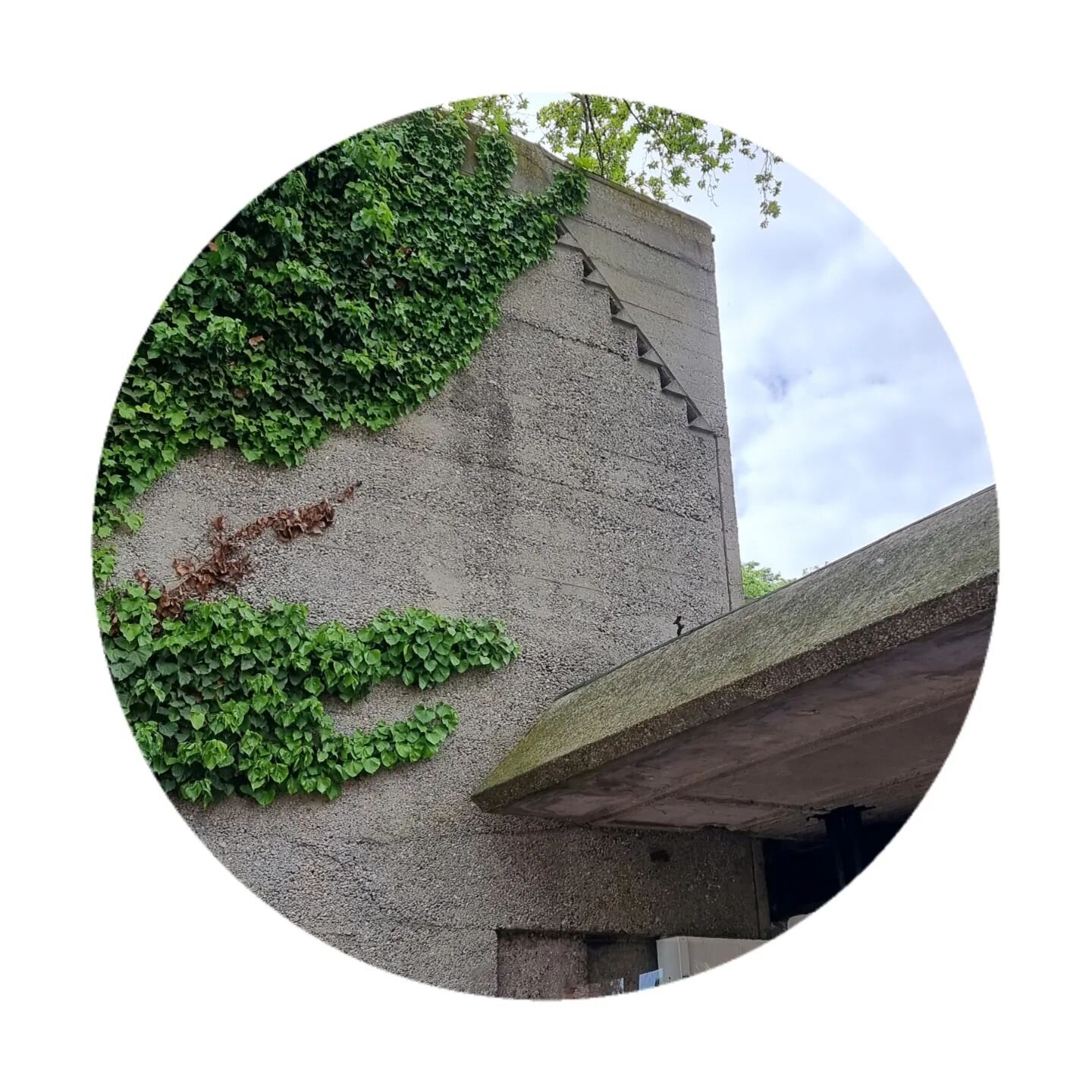 Brickworks Study Tour 2023 - Venezuala Exhibition Building, Venezia  By Carlo Scarpa.
- 
Water is such an important element in the Venetian architect; Carlo Scarpa's work. With the water features in Querini echoing the Venetian bubbling from below, S