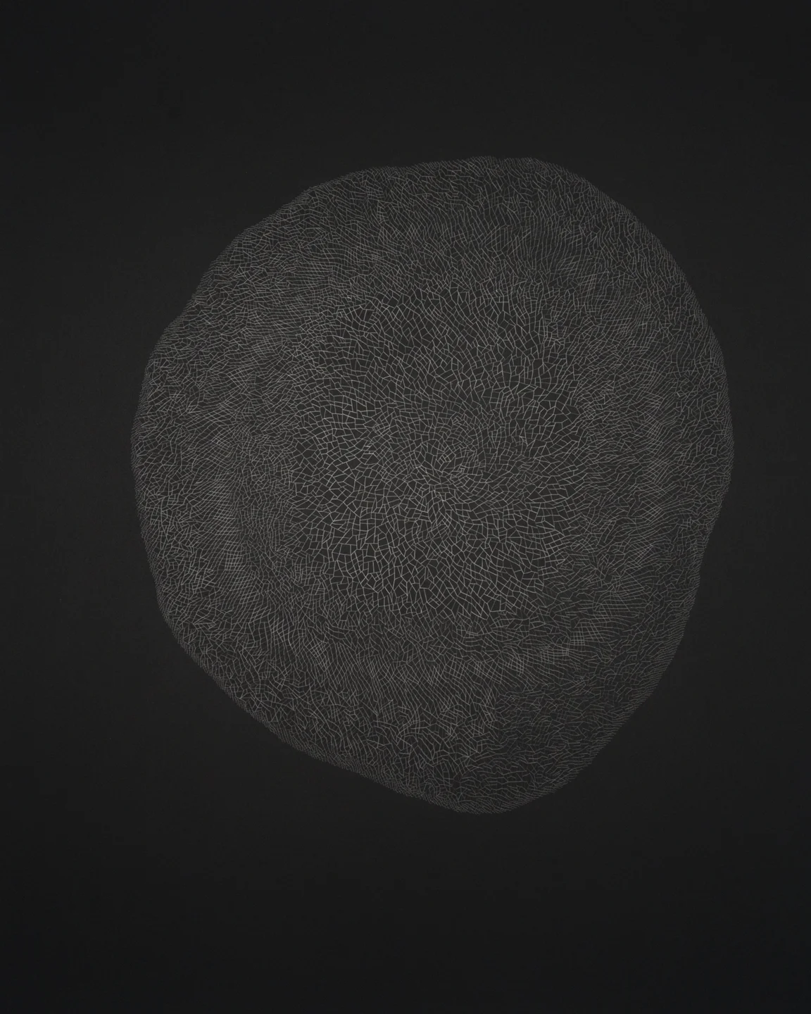 #4 Graphite Drawing Completed in a Controlled Environment 32''x40''