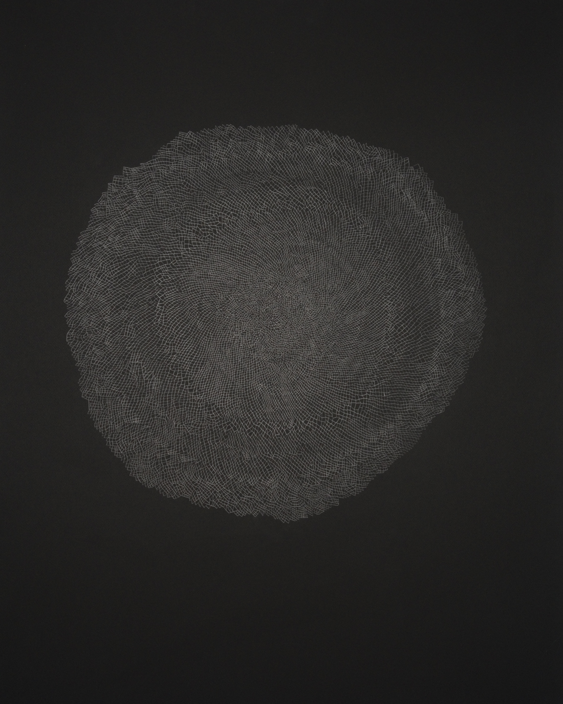 #2 Graphite Drawing Completed in a Controlled Environment 32''x40''