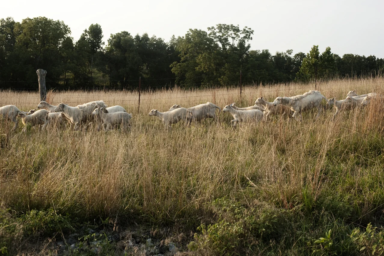 _DSC4547web.jpg