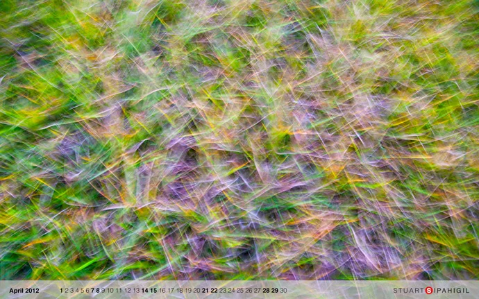 April 2012 wallpaper