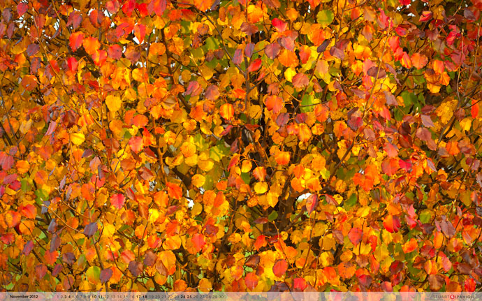 November 2012 desktop wallpaper from Stuart Sipahigil