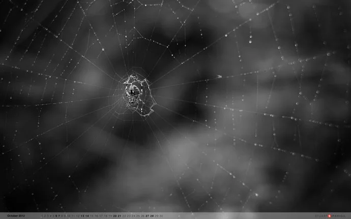 October 2012 wallpaper from Stuart Sipahigil