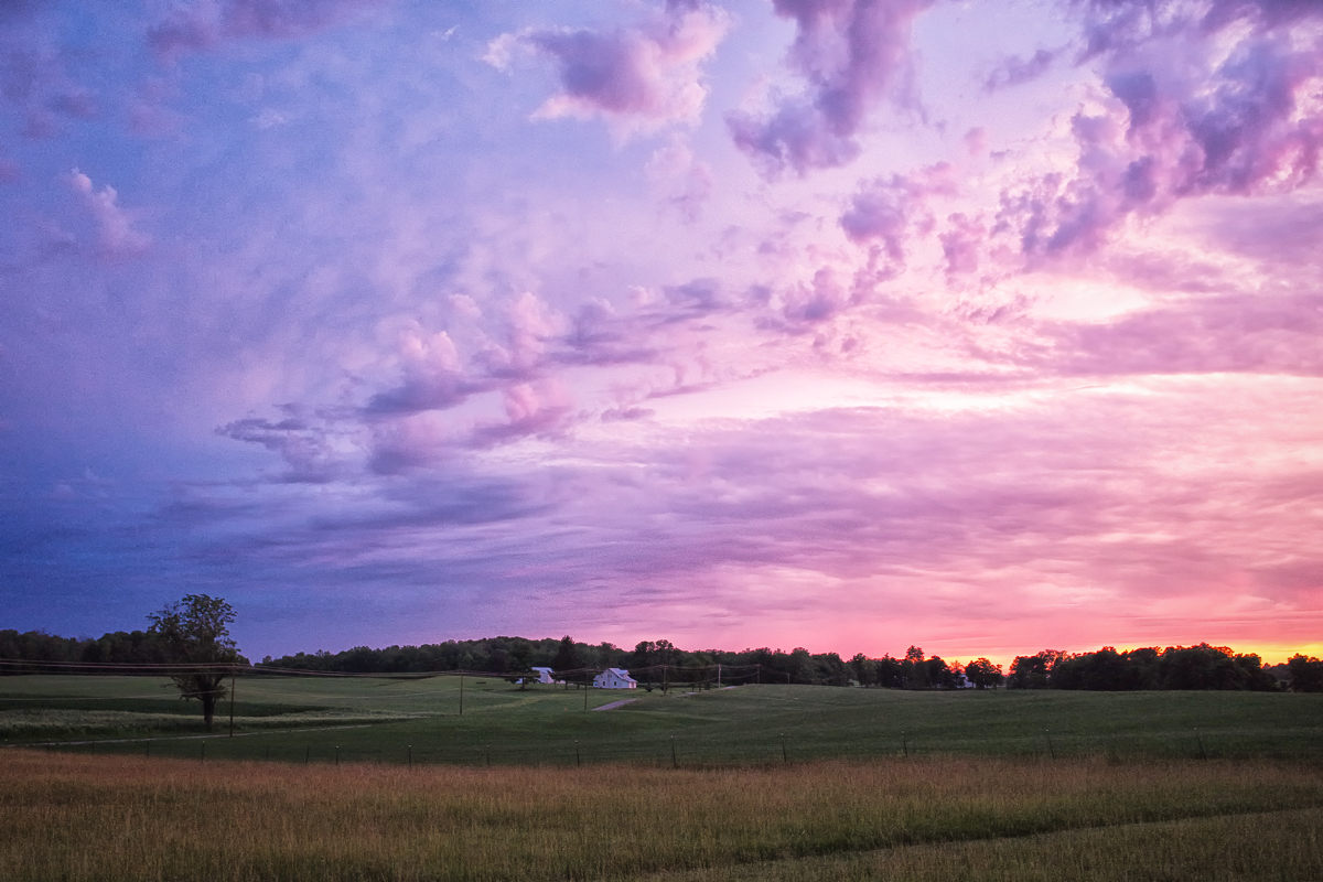 Indiana Palette