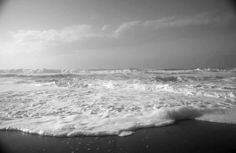 Foam II