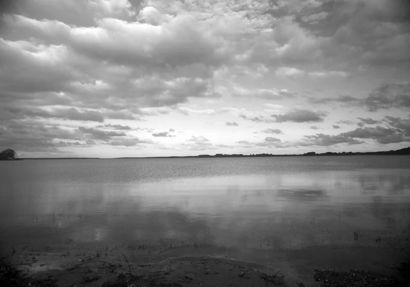 Quidnet's Silence