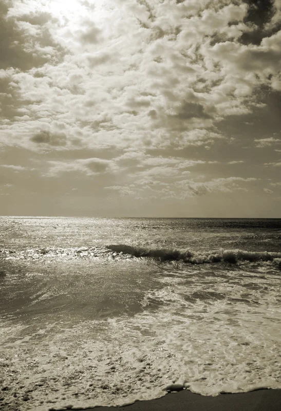 Washed Ashore