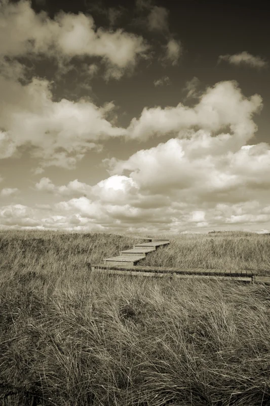 Pathway To The Unknown
