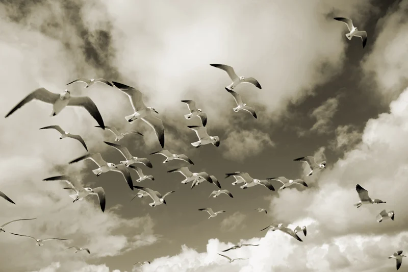 In flight I