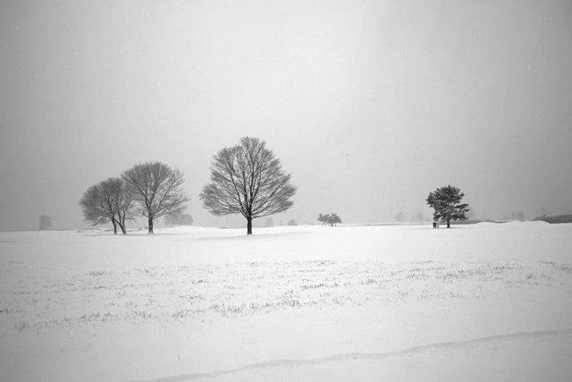 Winter Silence