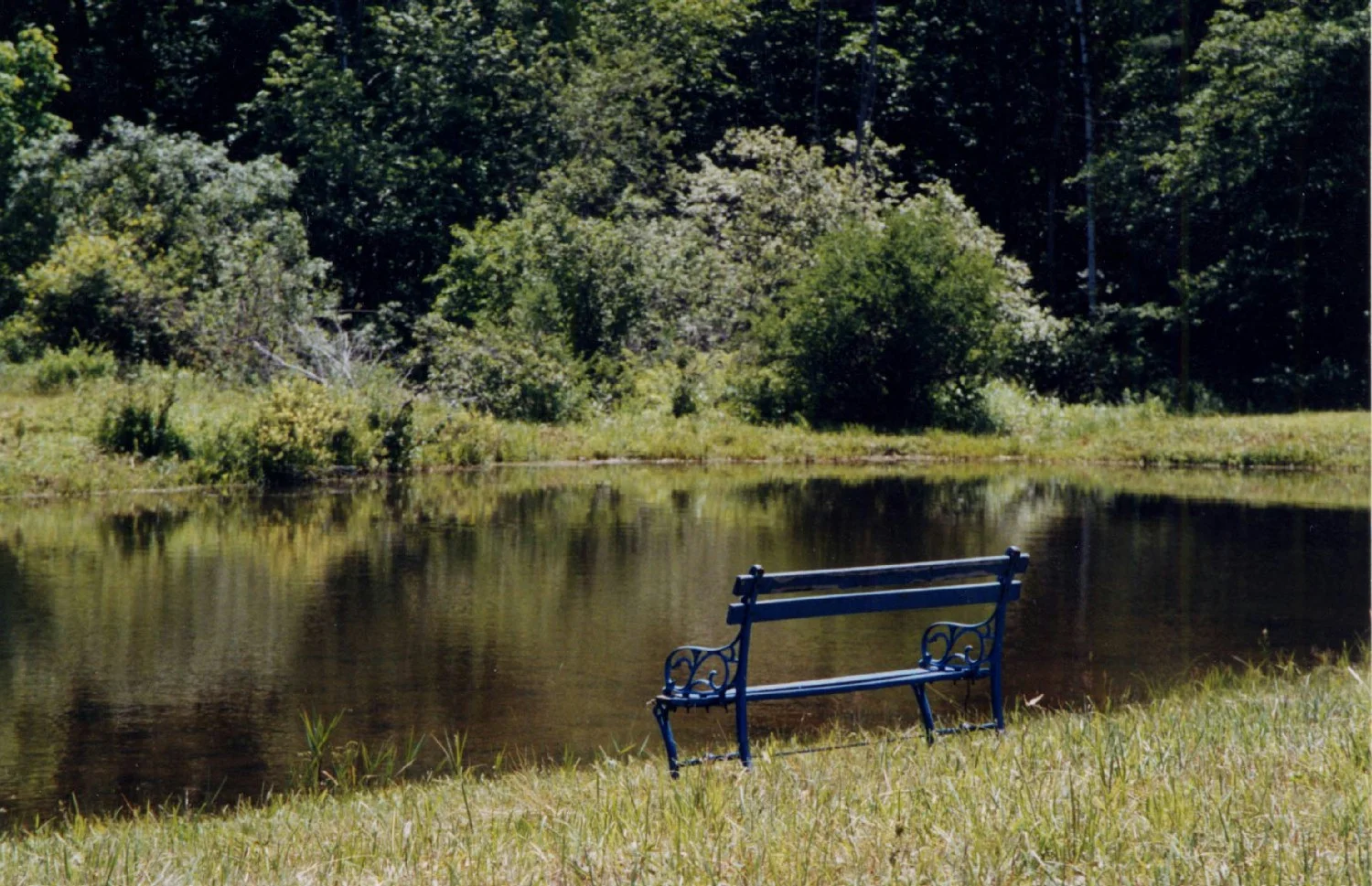 On Golden Pond