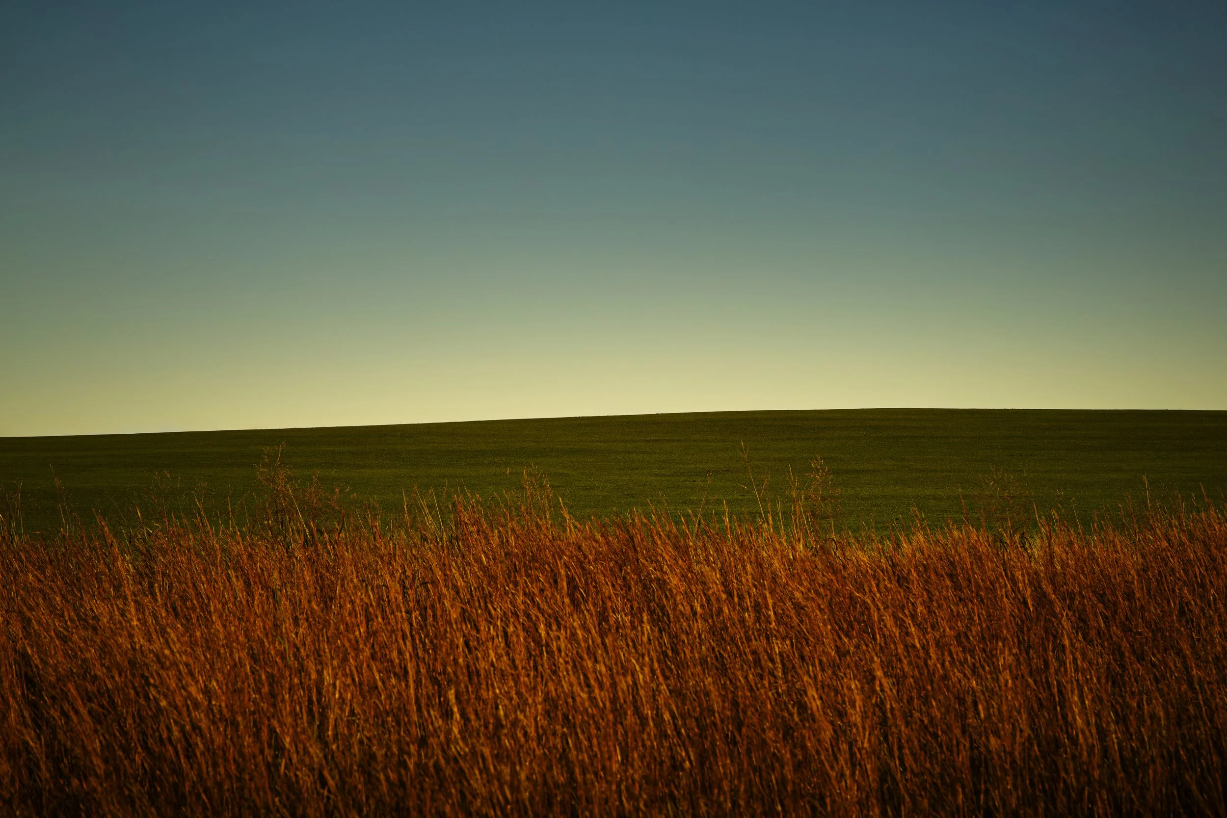 Beneath the Horizons Breath