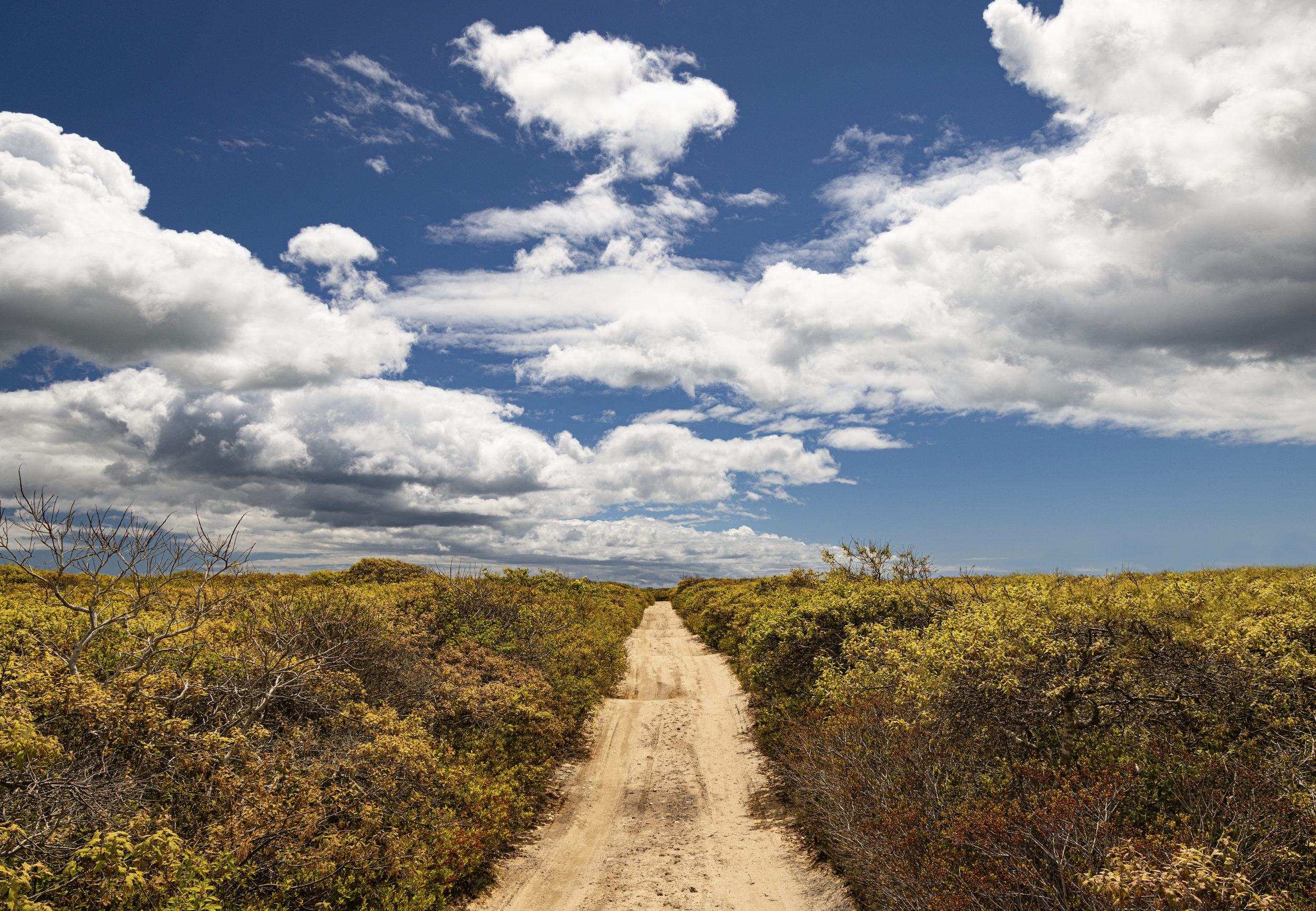 Unpaved and Untamed
