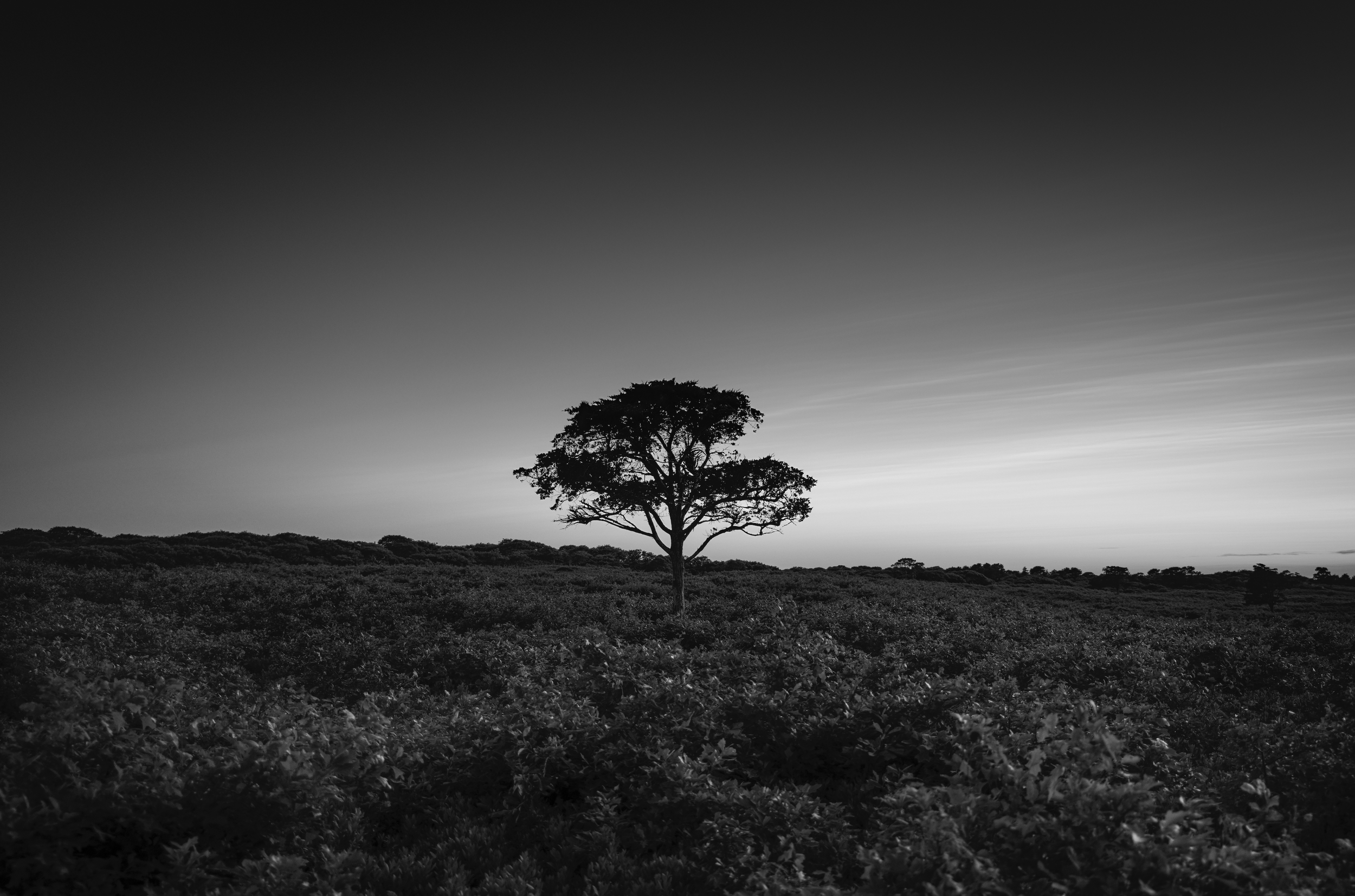 No.  20  | The  Keeper