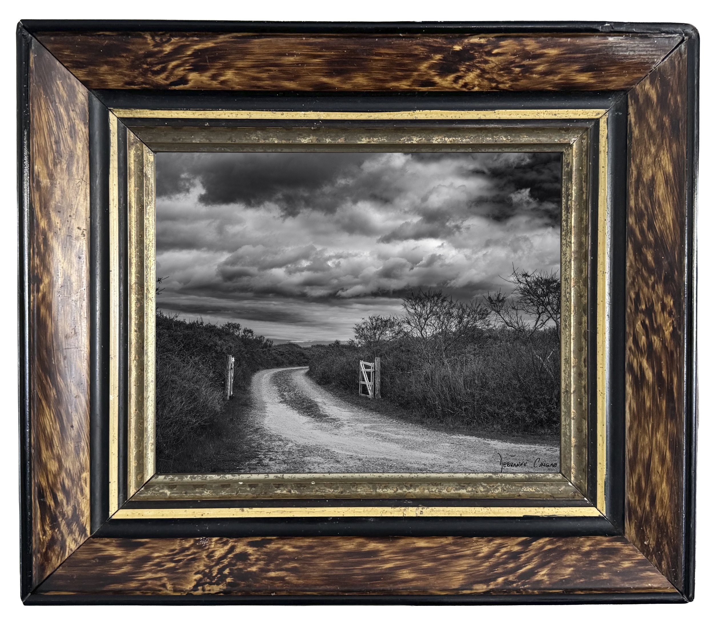 No. 3 |   Beyond the Gate