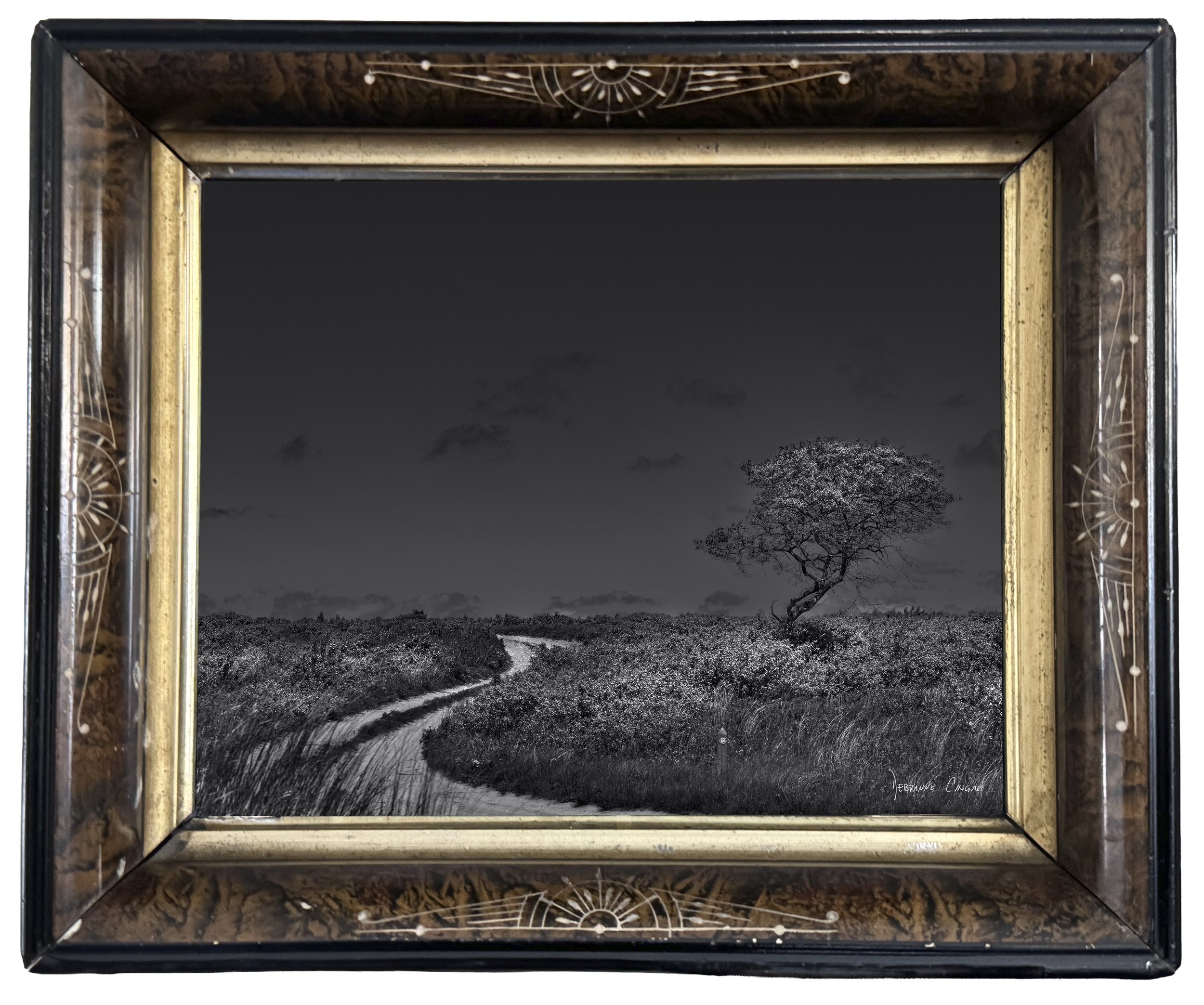 No.  8 |   Moonlight