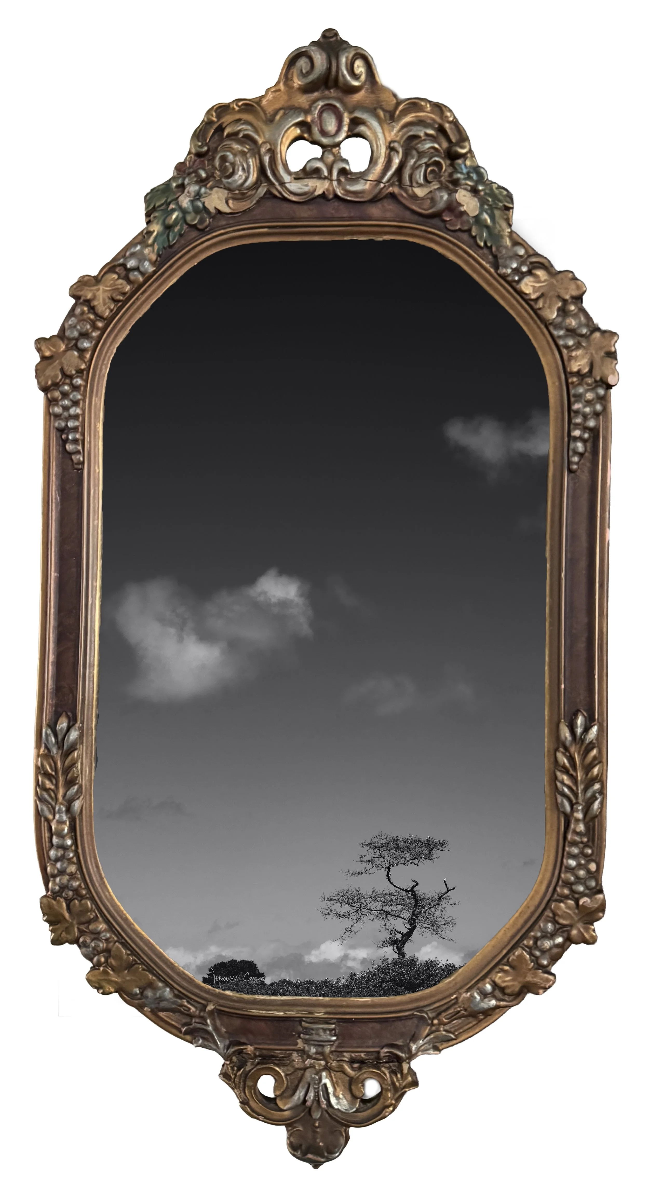 No. 6   |   Quiet Reveal