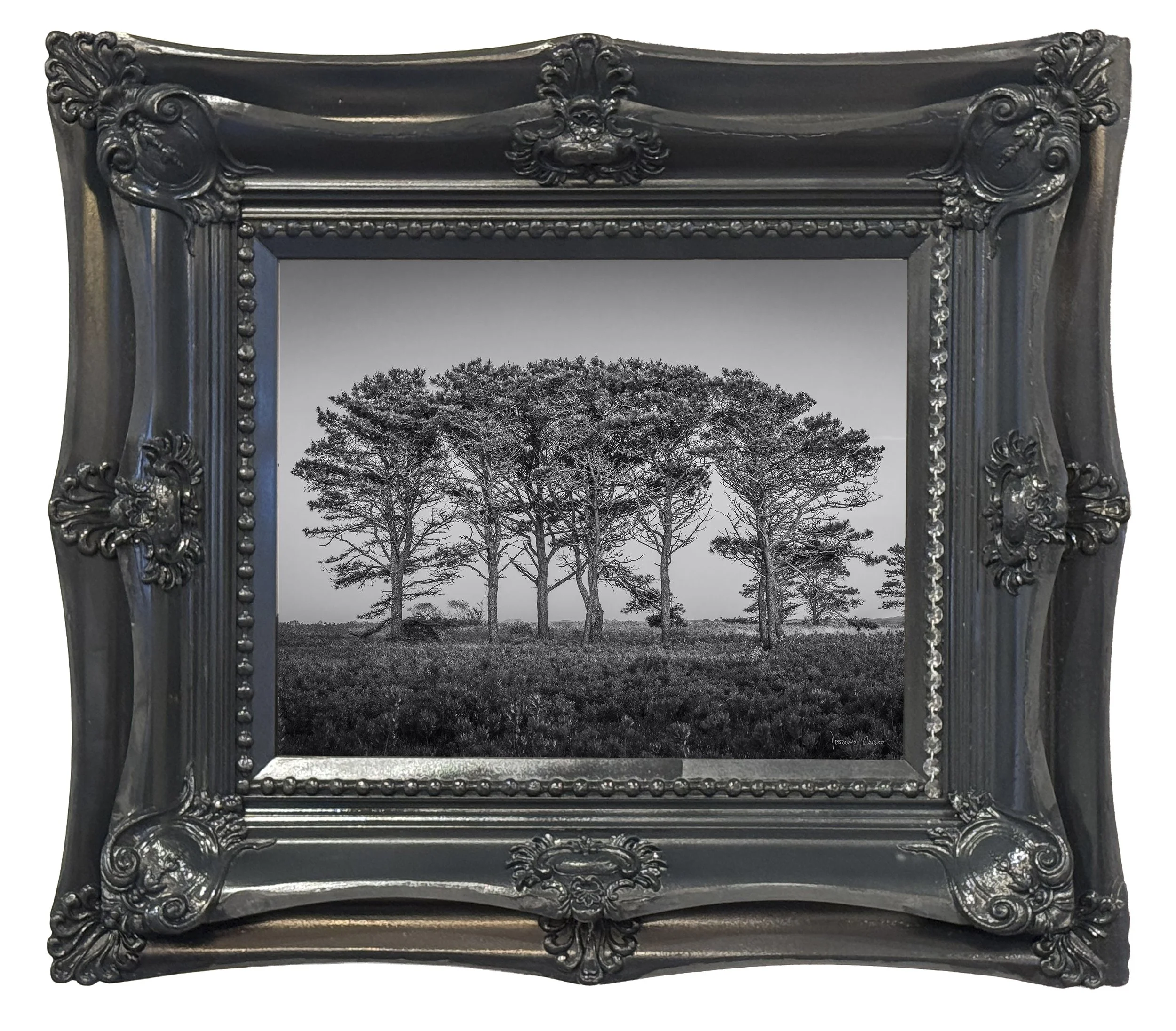 No.  10    |   Rooted Together