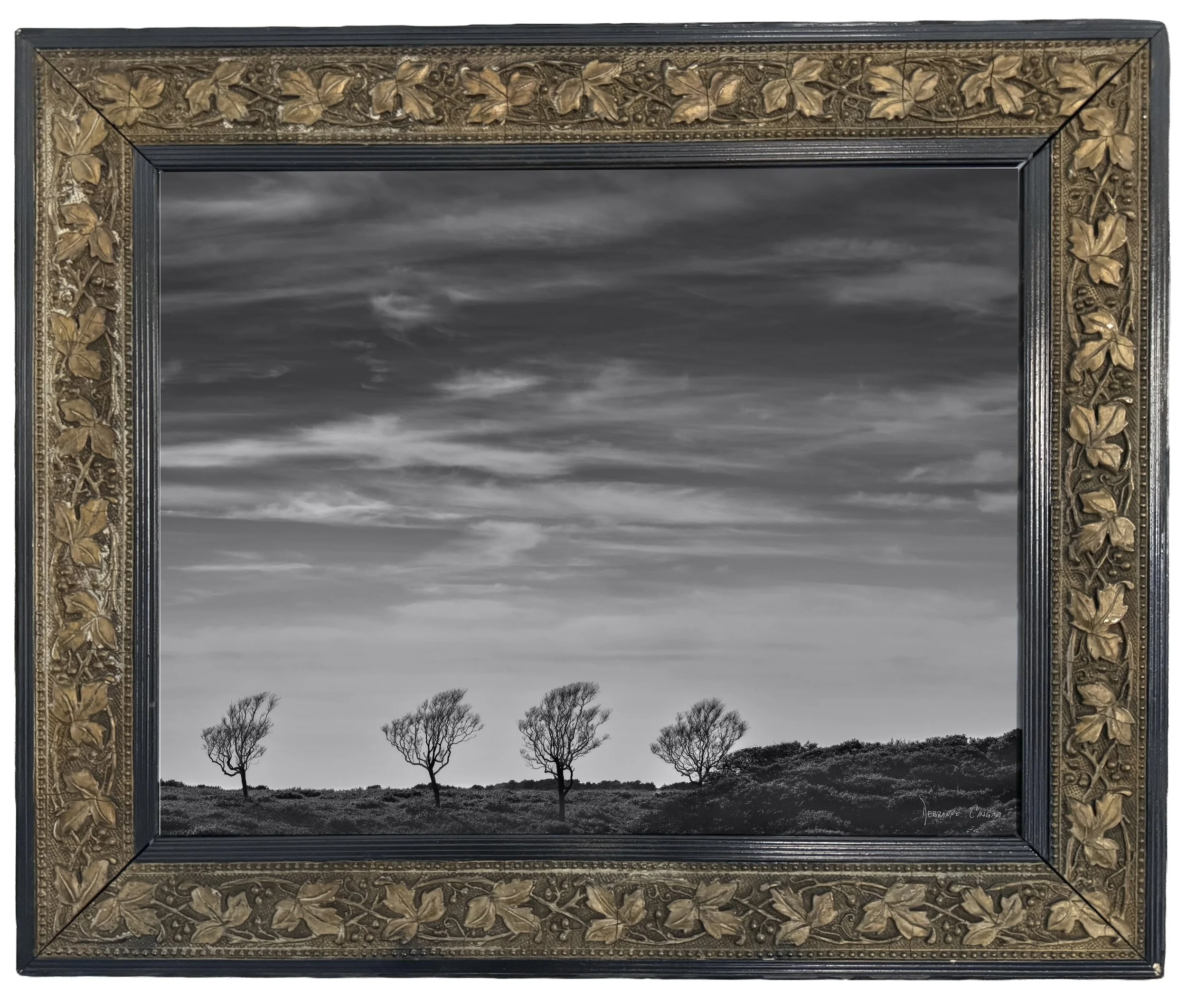 No.  12   |    Silent Companions