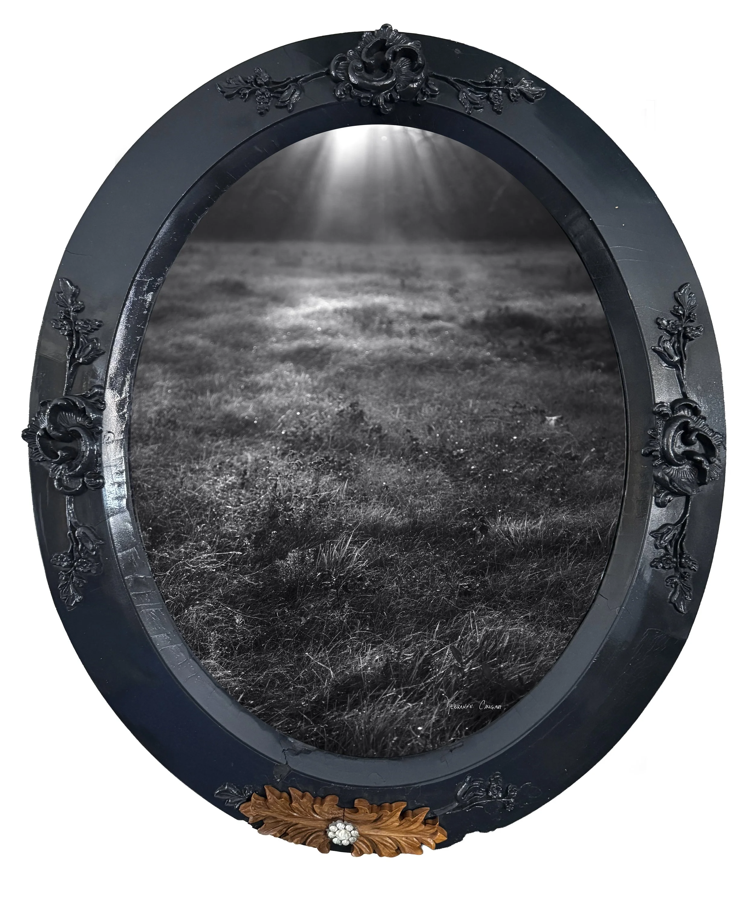 No.  16   |    The Awakening