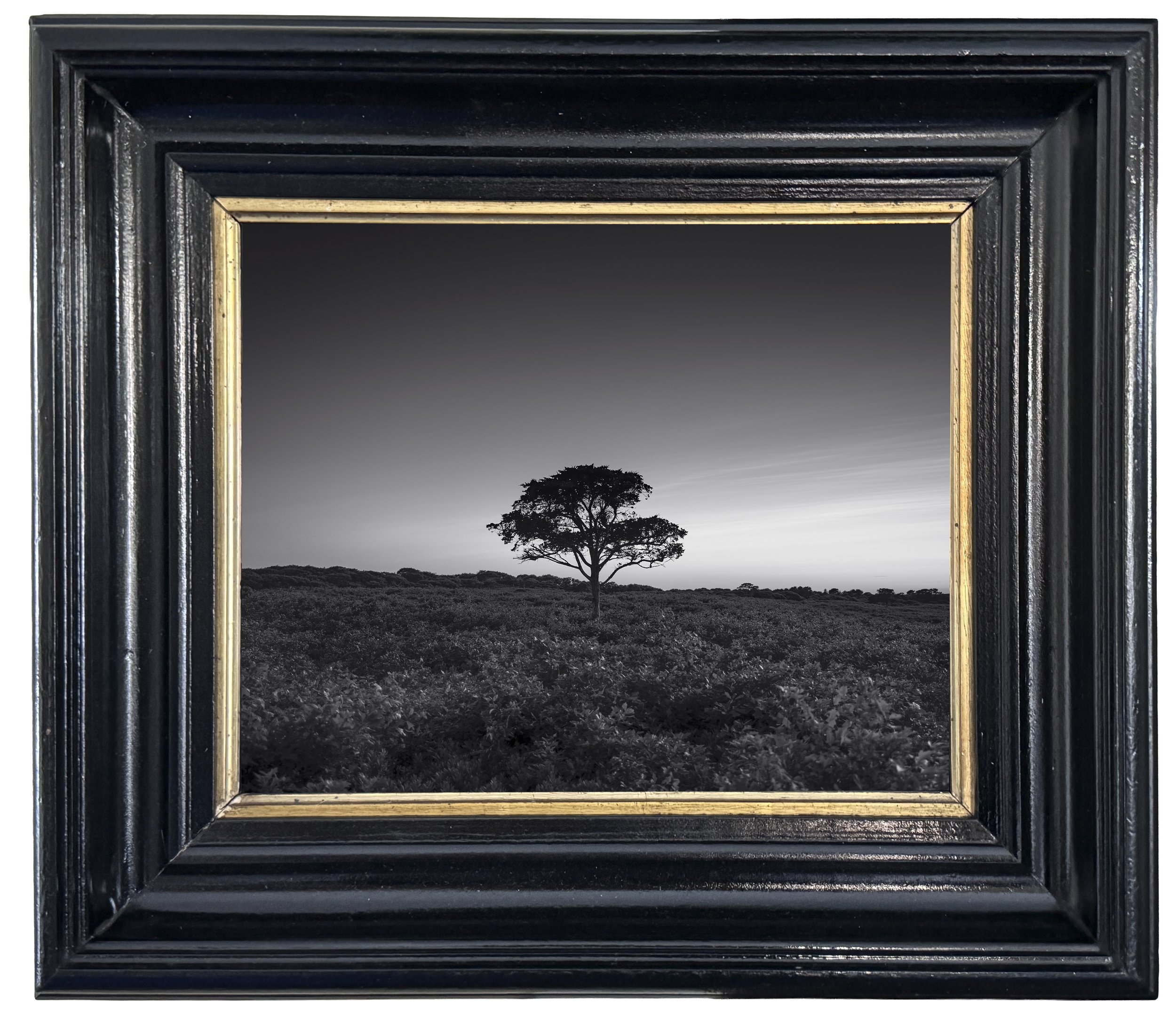 No.  20  |  The Keeper