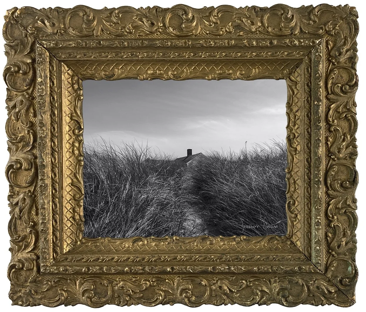 No.  14   | The Path Home