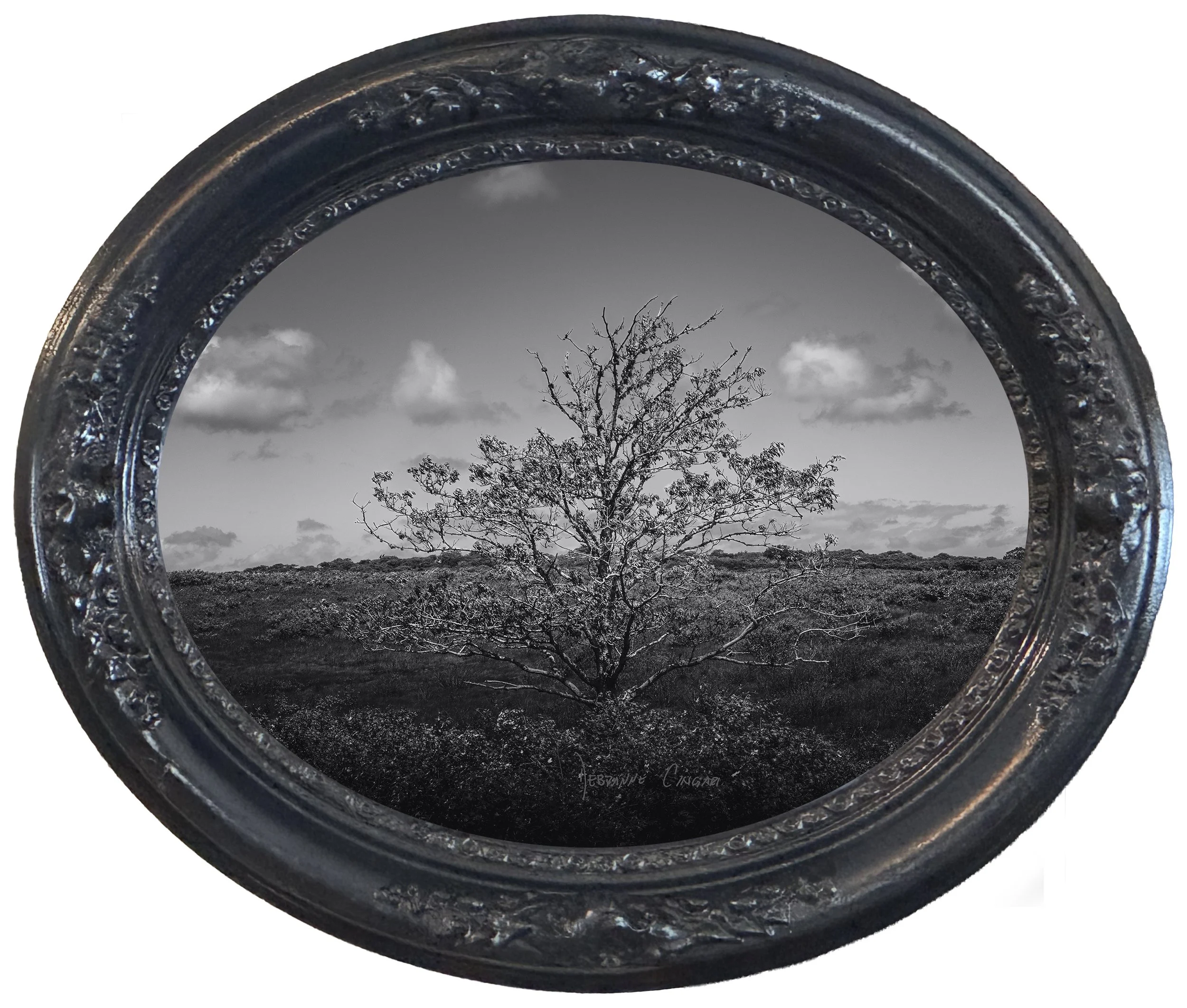 No. 21  | Beneath the Island Sky