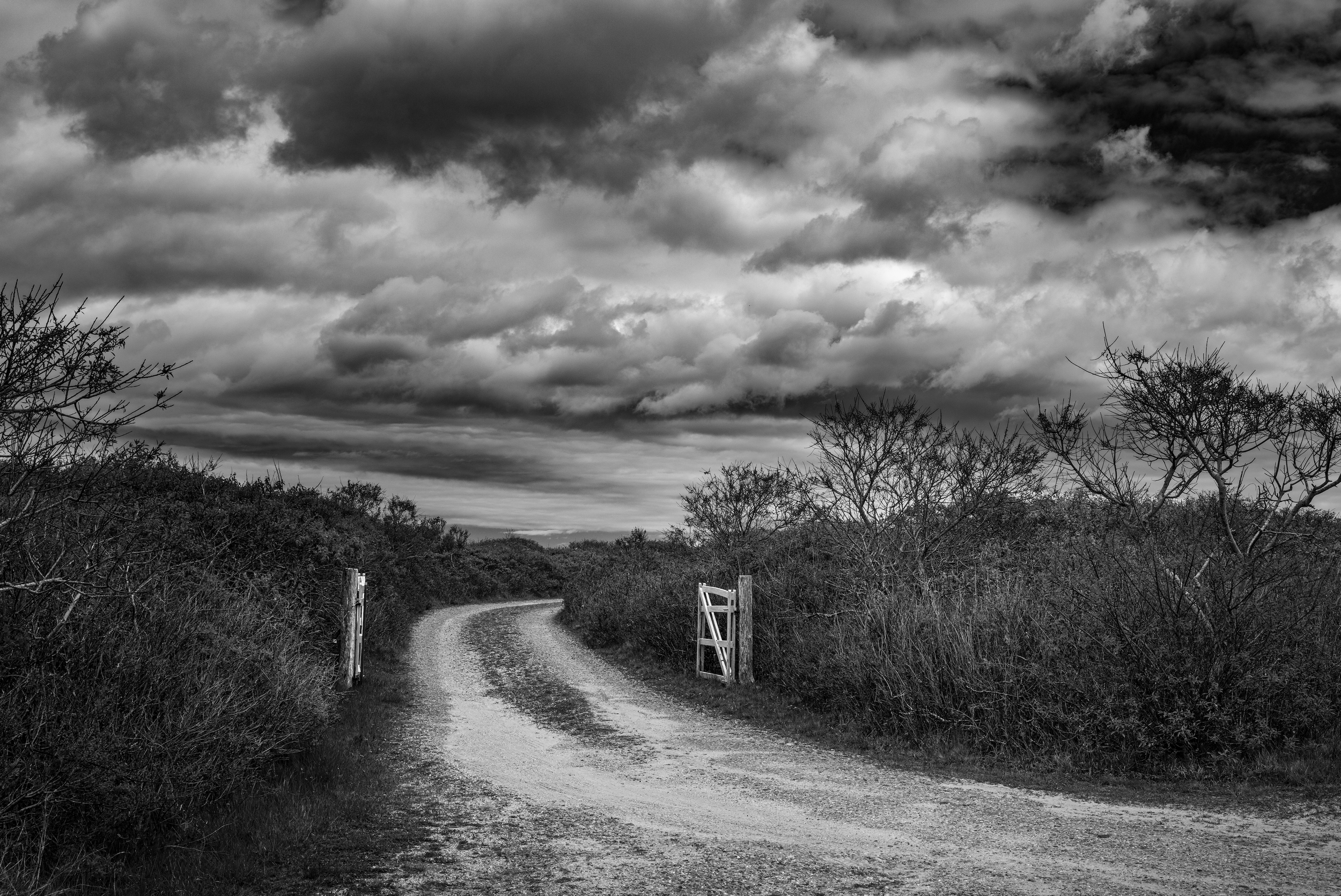 No. 3 |   Beyond the Gate