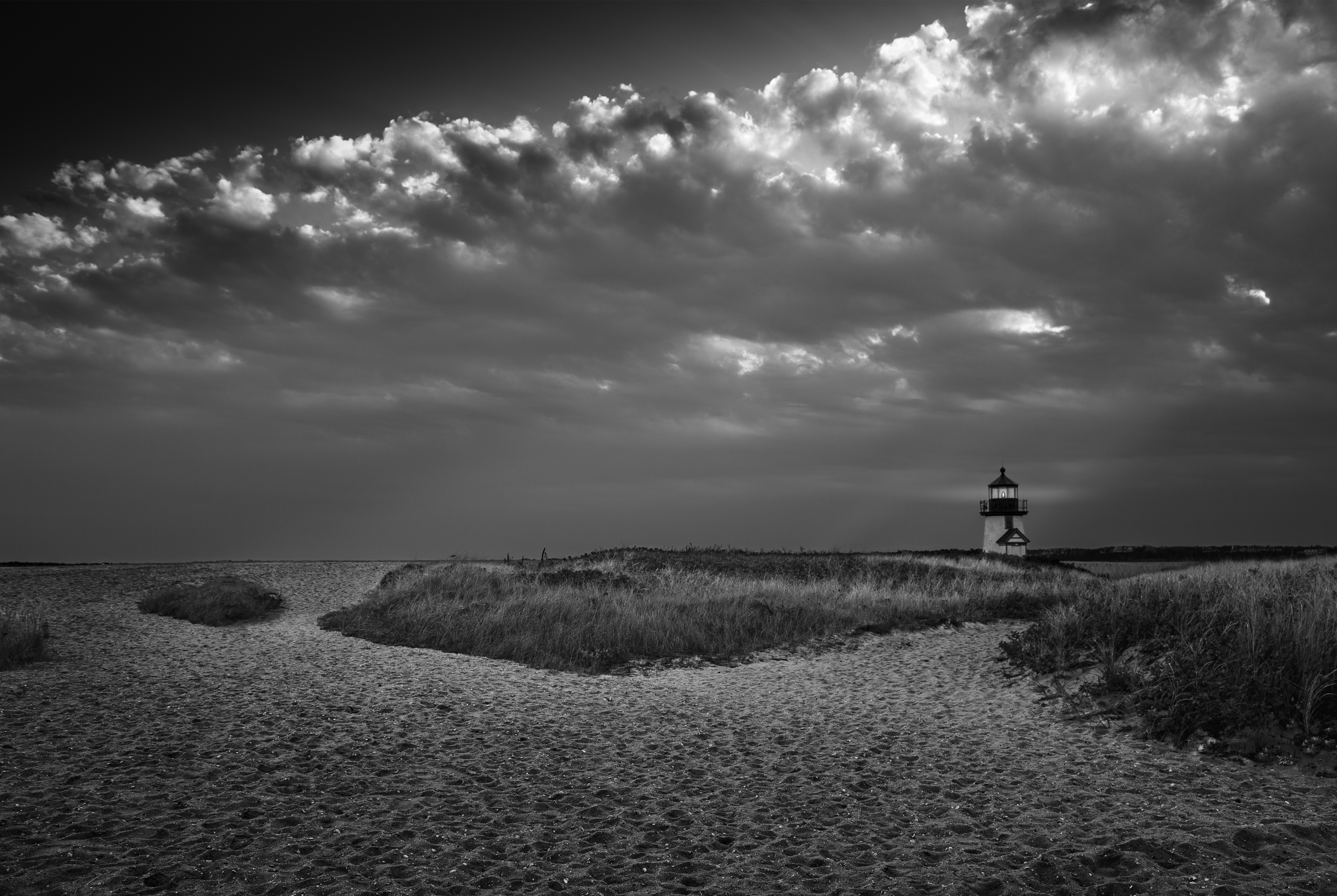 No. 5  |    The Homecoming