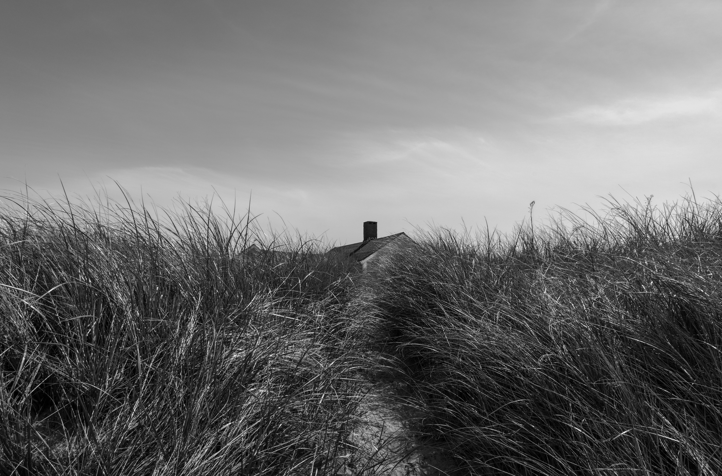 No.  14   | The Path Home