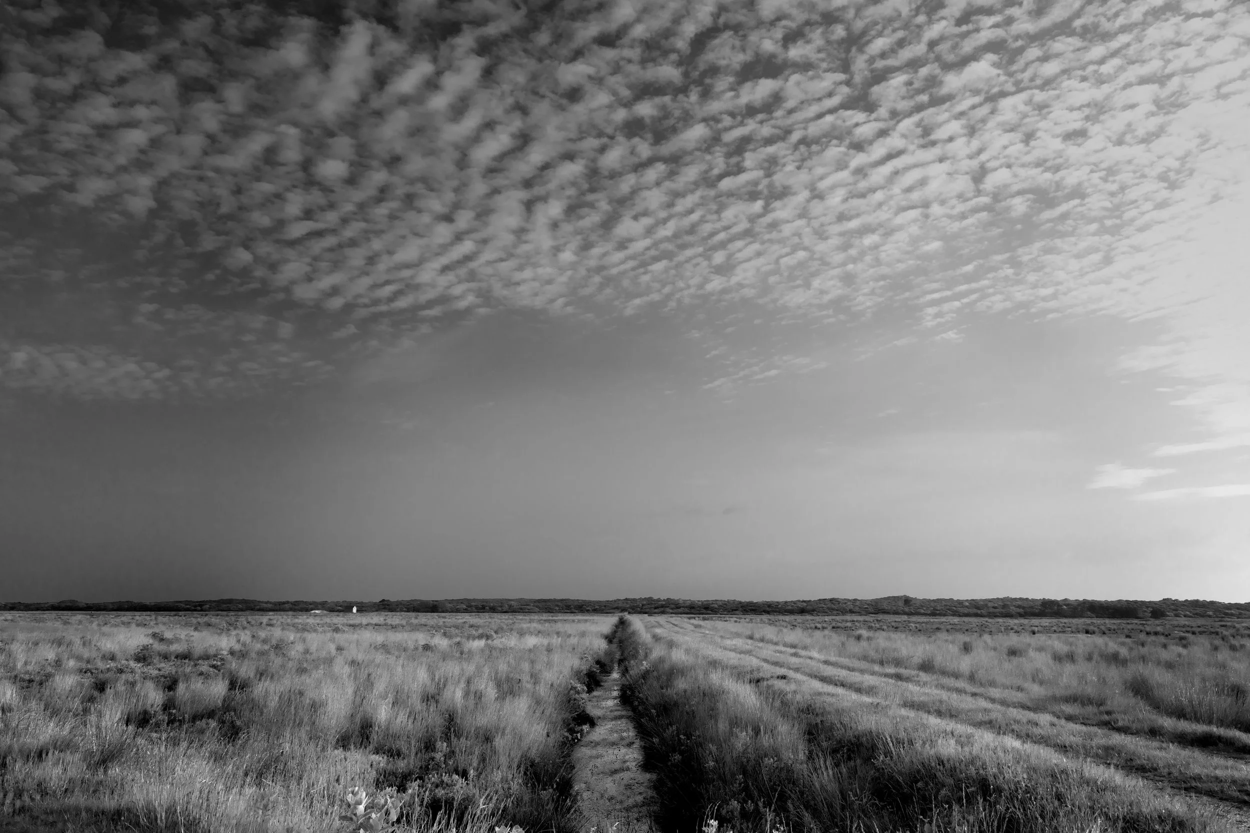 The Path the Wind Remembers